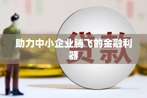 善化助力中小企业腾飞的金融利器