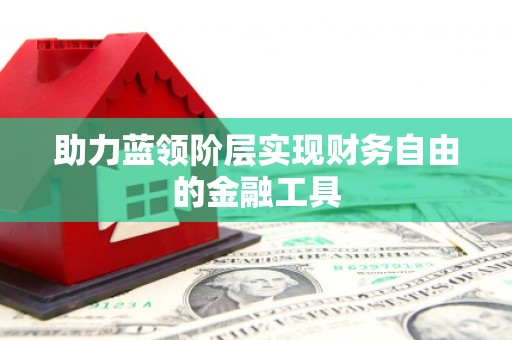 善化助力蓝领阶层实现财务自由的金融工具