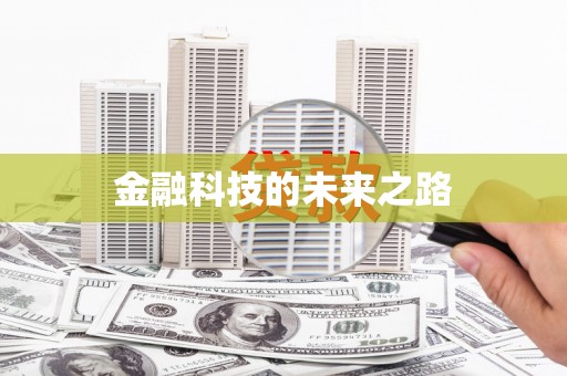 善化金融科技的未来之路