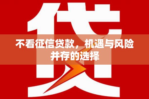 善化不看征信贷款，机遇与风险并存的选择