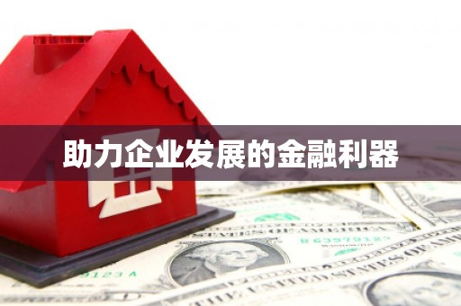 善化助力企业发展的金融利器