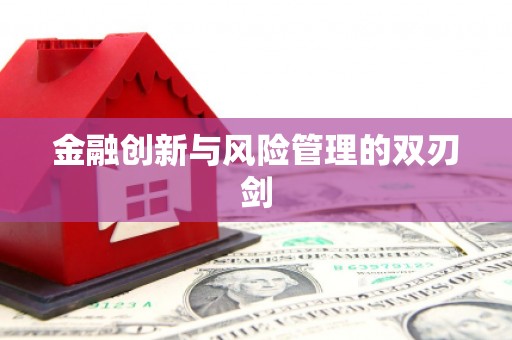 善化金融创新与风险管理的双刃剑