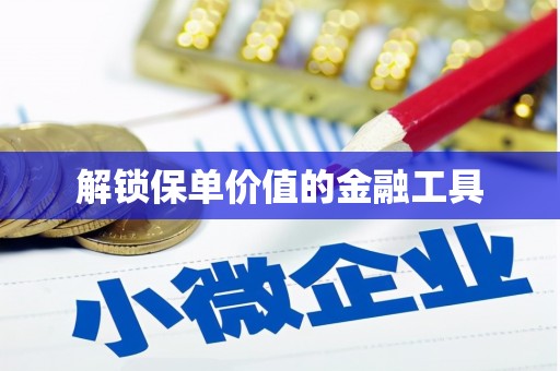 善化解锁保单价值的金融工具
