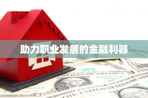 善化助力职业发展的金融利器